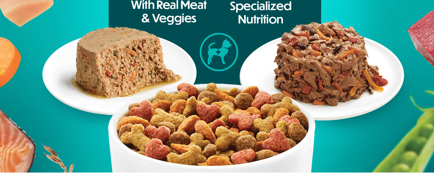 Purina Beneful incrediBites Dry and Wet Dog Food options
