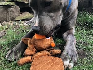 Tender-Tuffs Dog Bottle Toy Lifestyle Beaver