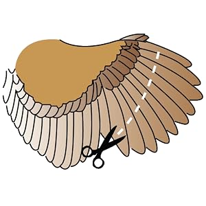 premier poultry