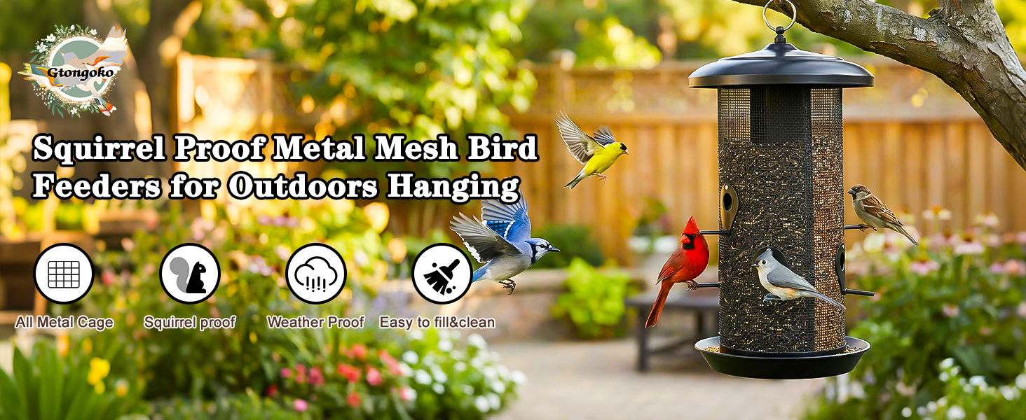 bird feeder