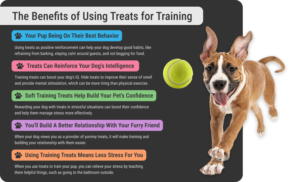 Training Treats