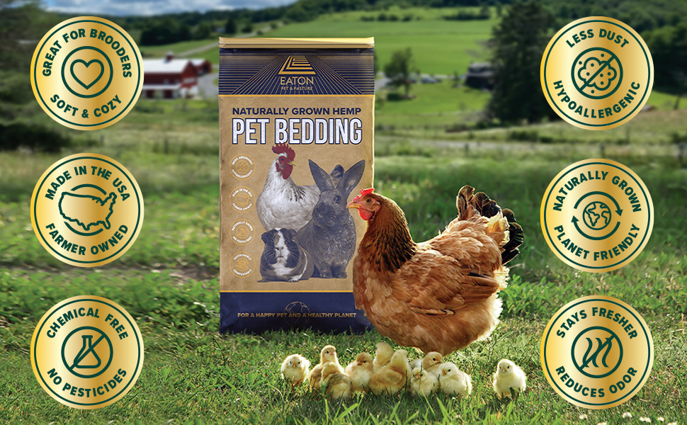 bedding