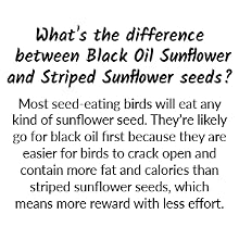 Difference between Black Oil and Striped Sunflower FAQ