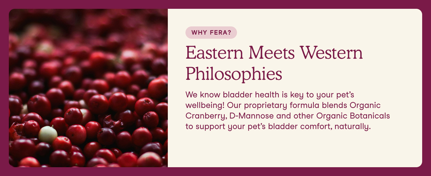 Eastern Meets Western Philosophies