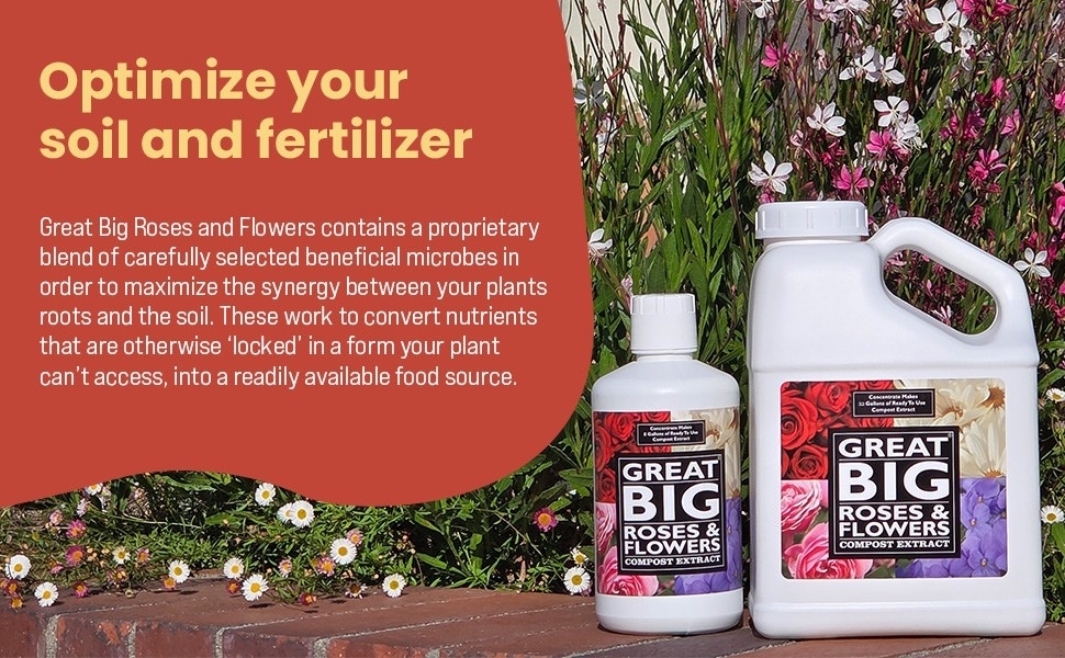 soluble outdoor hibiscus activator succulent monstera gypsum plus african violet bougainvillea drops