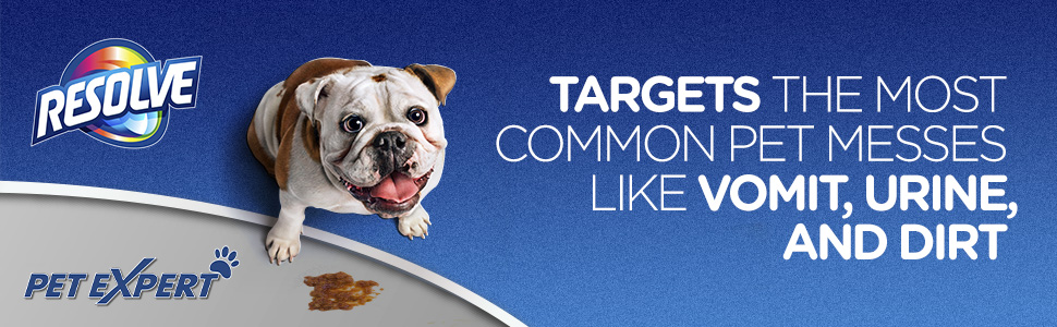 targets the most common pet messes