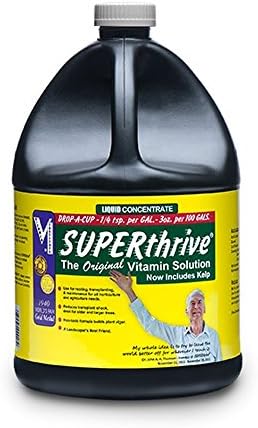 Superthrive Gal (2)