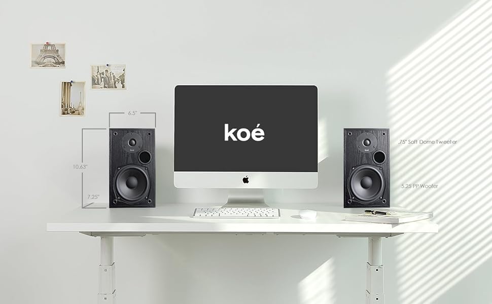 bookshelf speakers passive 2-way hifi home theater satellites audio speakers