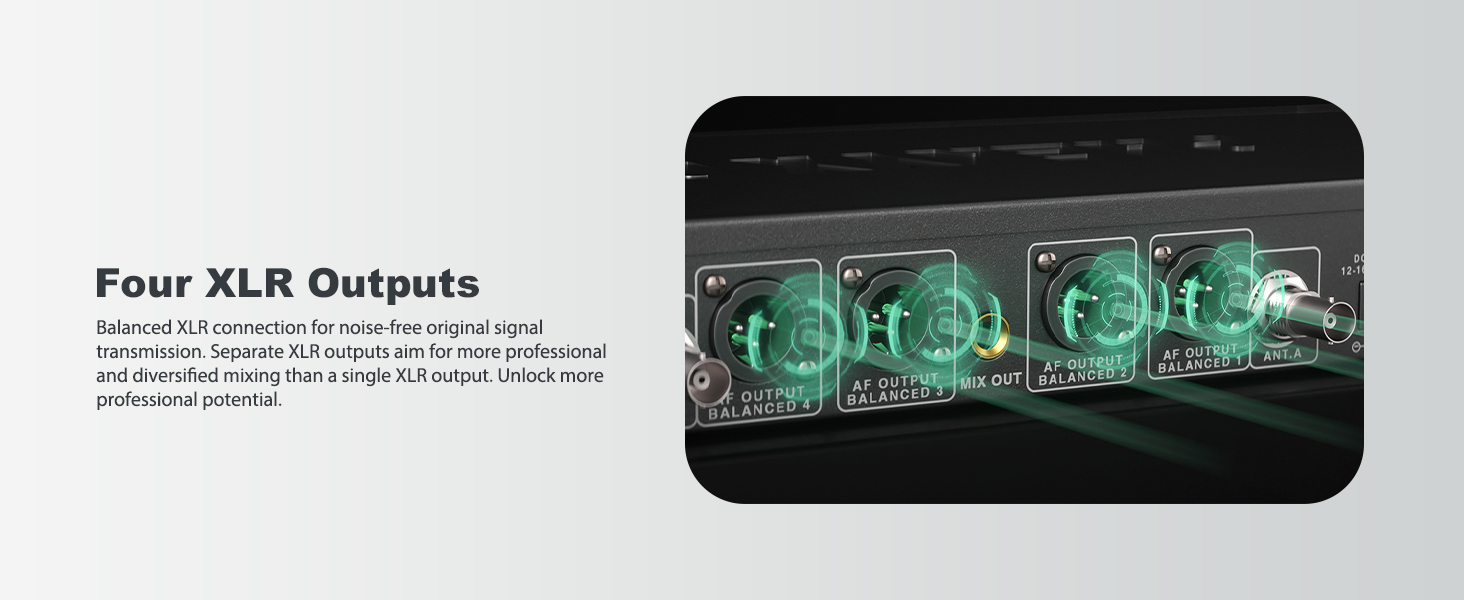 Four XLR Outputs