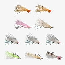 flies