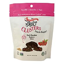 dark chocolate covered raspberry snacks on the go vegan organic