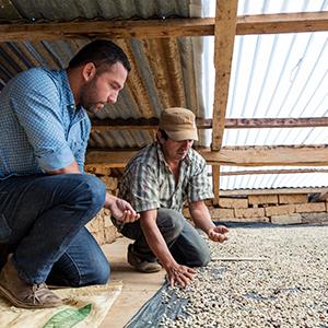 Farmer connected sourcing