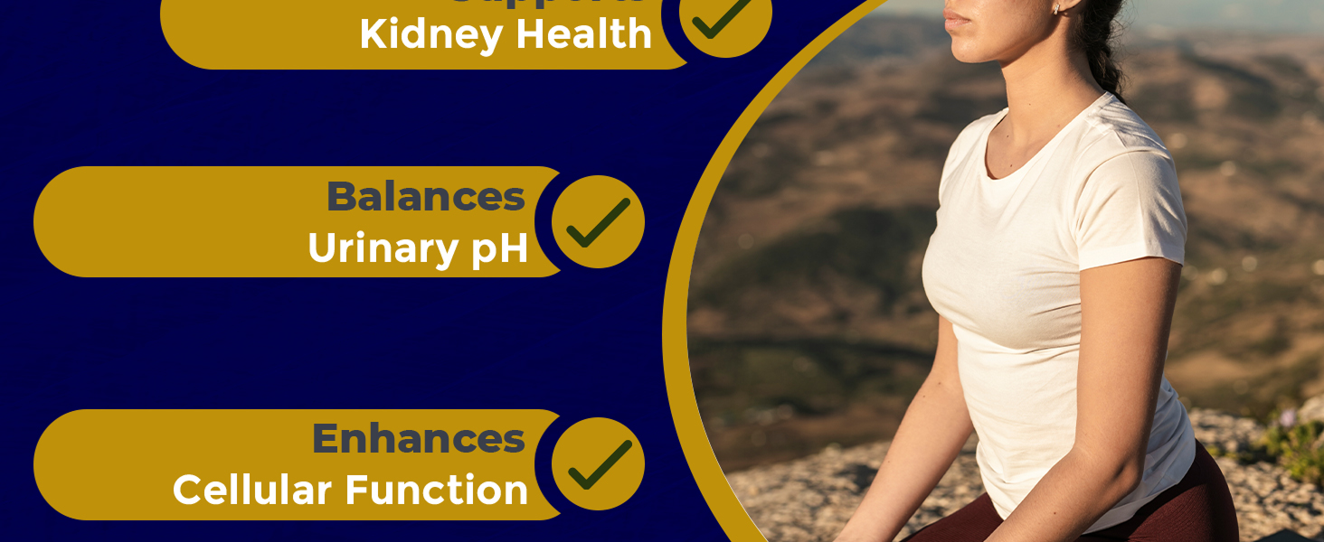 kidney cleanse detox repair support supplement health improve function best supplements vitamins