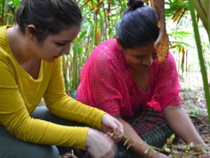 Supporting Smallholder Farmers