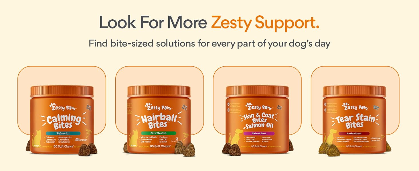dog supplements and vitamins