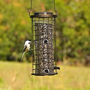 Perky-Pet Squirrel Stumper bird feeder