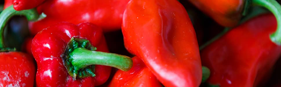 Piquillo Peppers