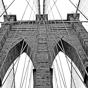 Brooklyn Beans Brooklyn Bridge Blend