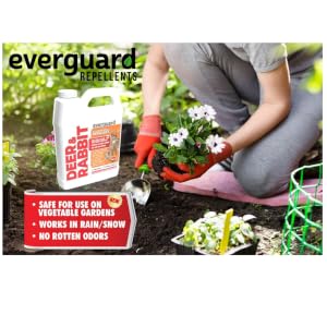 Everguard 32oz conc deer lifestyle