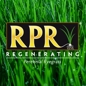 generate; grow; plant; plants; fertilizer; turf; builder; blue; golfing; yearly; annual; roots