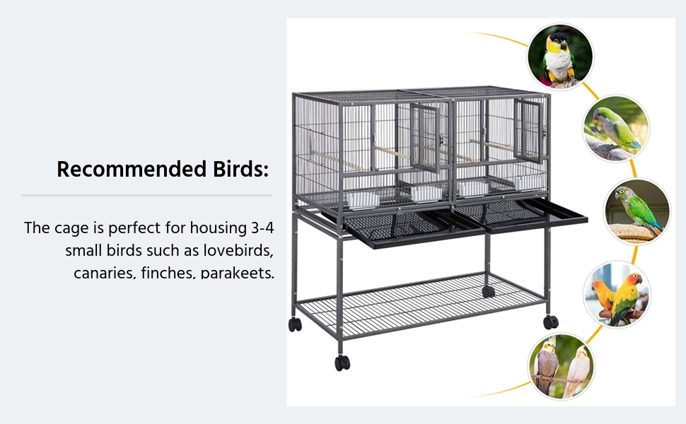 PARAKEET CAGE