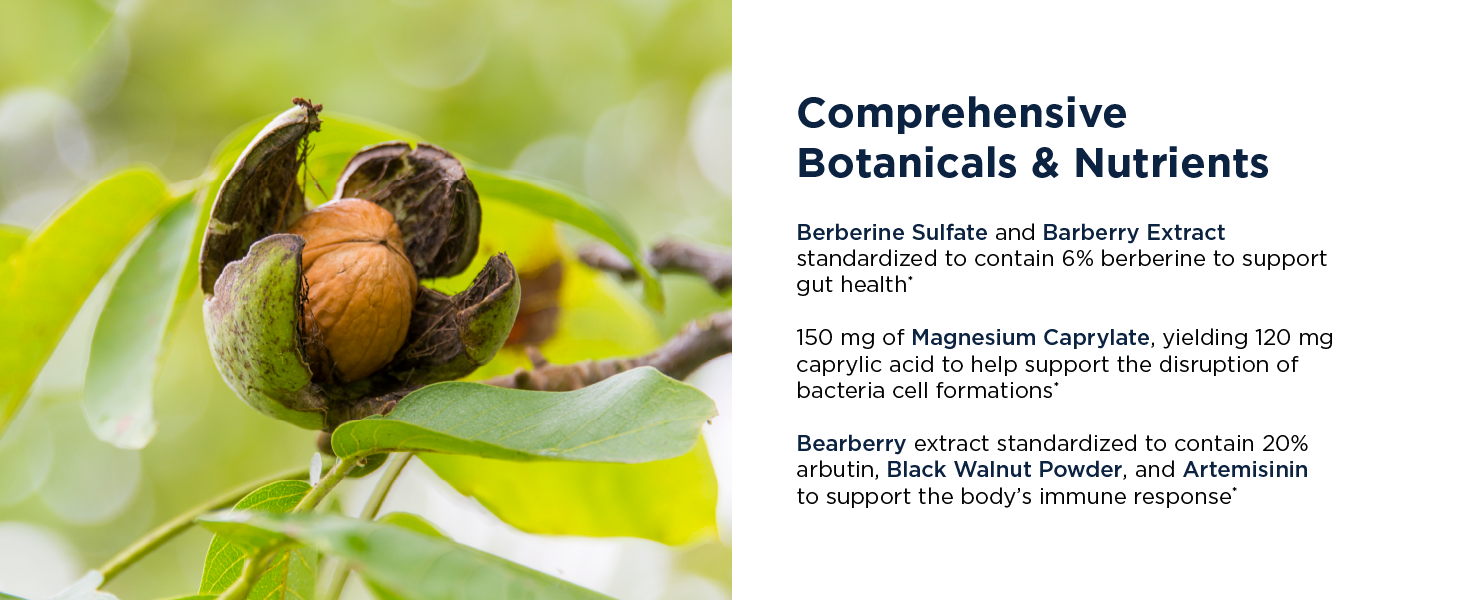 berberine sulfate magnesium caprylate bearberry black walnut artemisinin