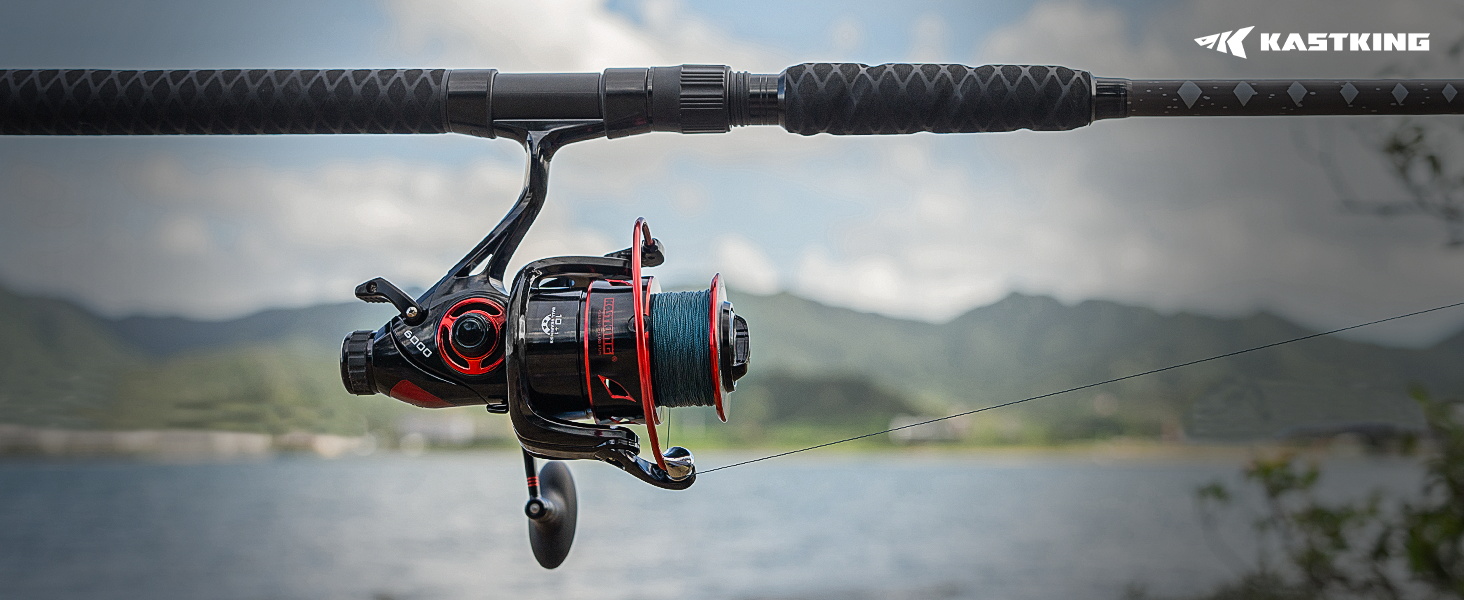 Spinning Reel