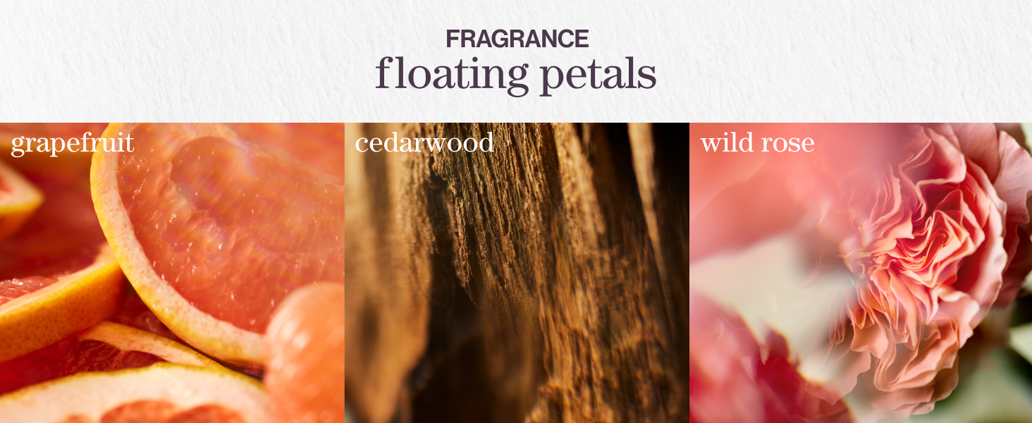 fragrance