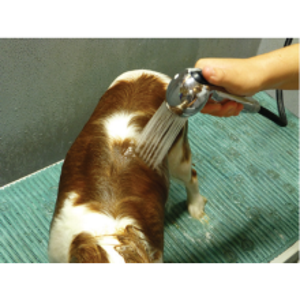 How to Use - Conditioning