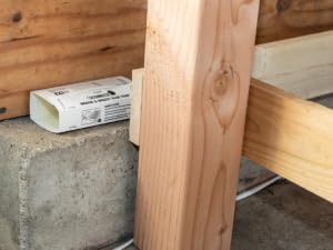 glue board