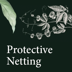 netting
