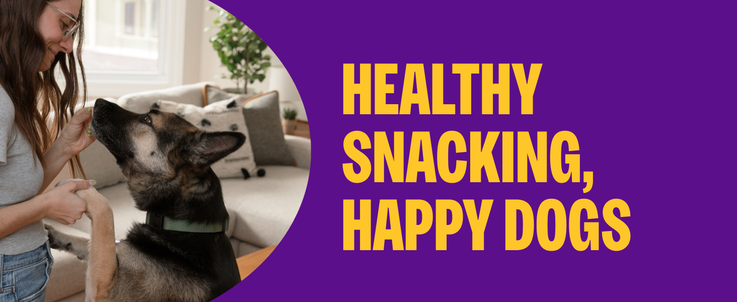 Healthy Snacking Happy Dogs