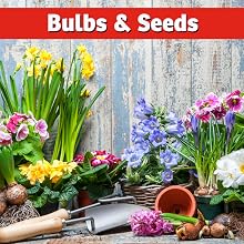 best squirrel repellent strongest natural safe powerful granular digging