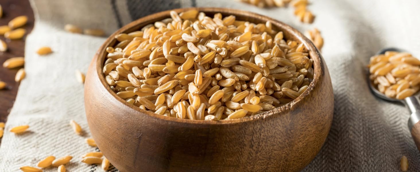 Organic KAMUT Khorasan Wheat Berries
