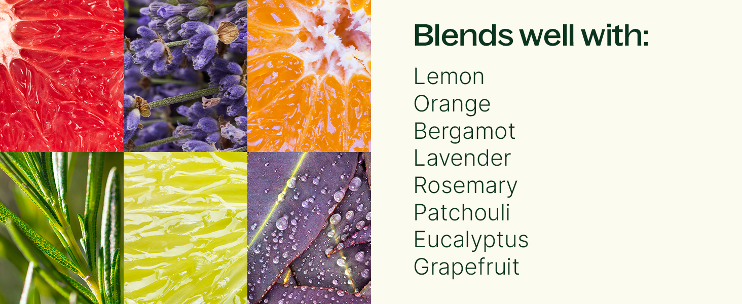 blends