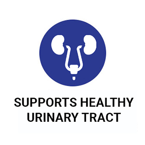 dmannose 500 mg uti antibiotics for women dmanose d mannose supplement uti cure manose