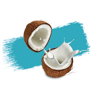 coconut creme collection
