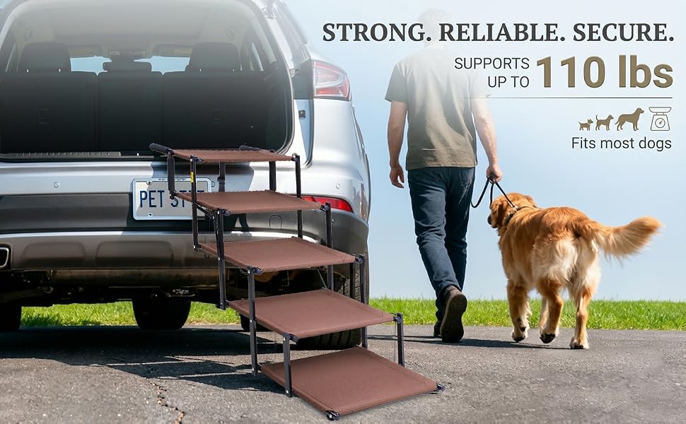 dog stairs for large dogs