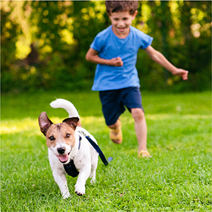 Safe to use around kids and pets