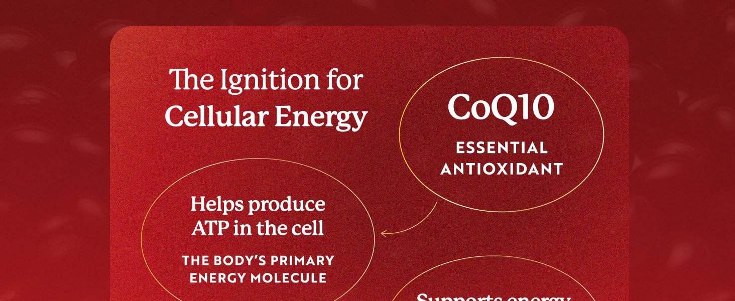 coq10 cellular energy essential antioxidant atp production support Adenosine triphosphate