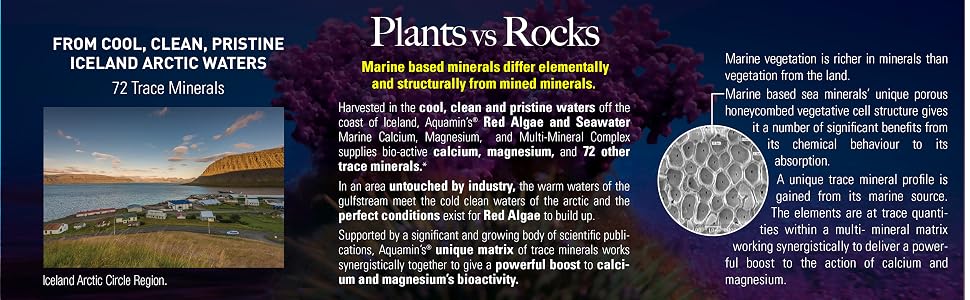 Nature's Answer, Magnesium, Calcium, Marine Based, Coral, Supplement, Healthy Lifestyle, Minerals
