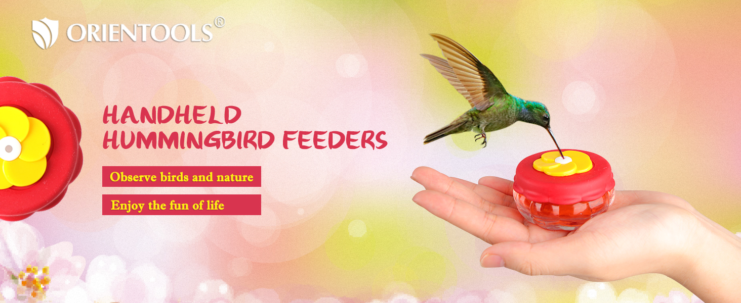 Hummingbird Feeders
