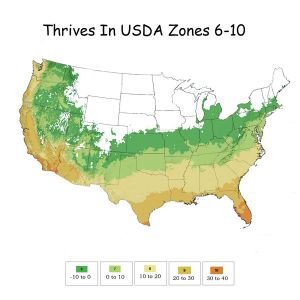 Growing Zones 6-10