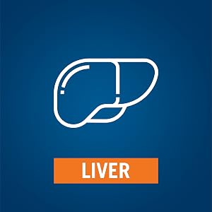 Liver