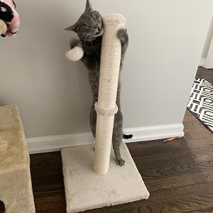 scratch