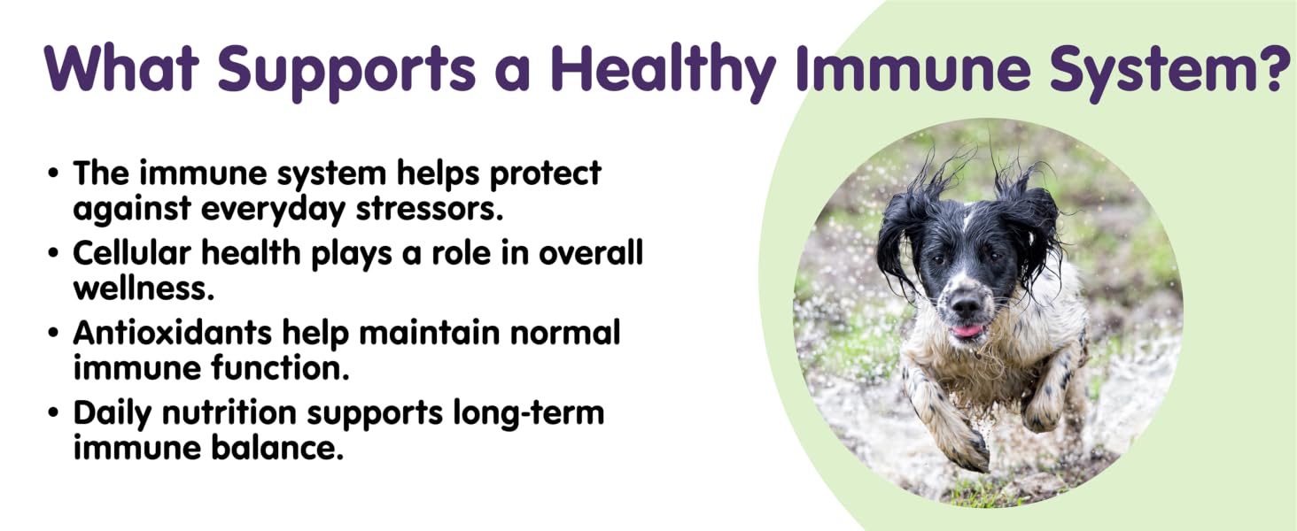 tumor shrinking for dogs,immune support for dogs,dog lipoma treatment,dog fatty tumor treatment
