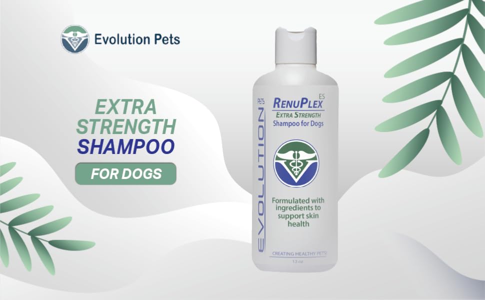 shampoo for dog mange and skin problems