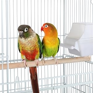 wooden perches