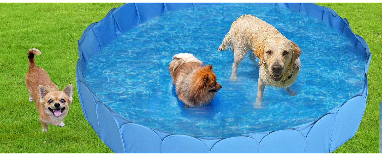 XXL Dog Pool