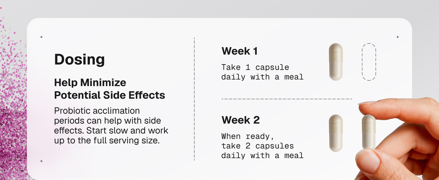 gut health supplements probiotics for men and women